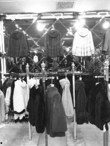 国产貂皮一般什么价位